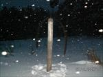 PICT0154.JPG