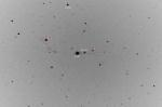 hip26575